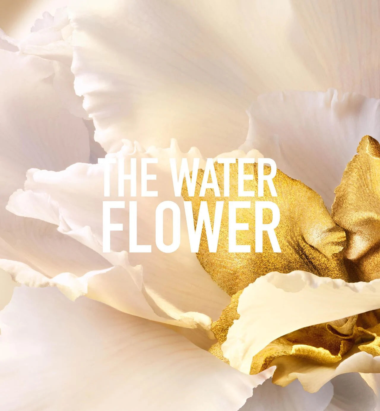 Dior J'Adore Parfum D'Eau