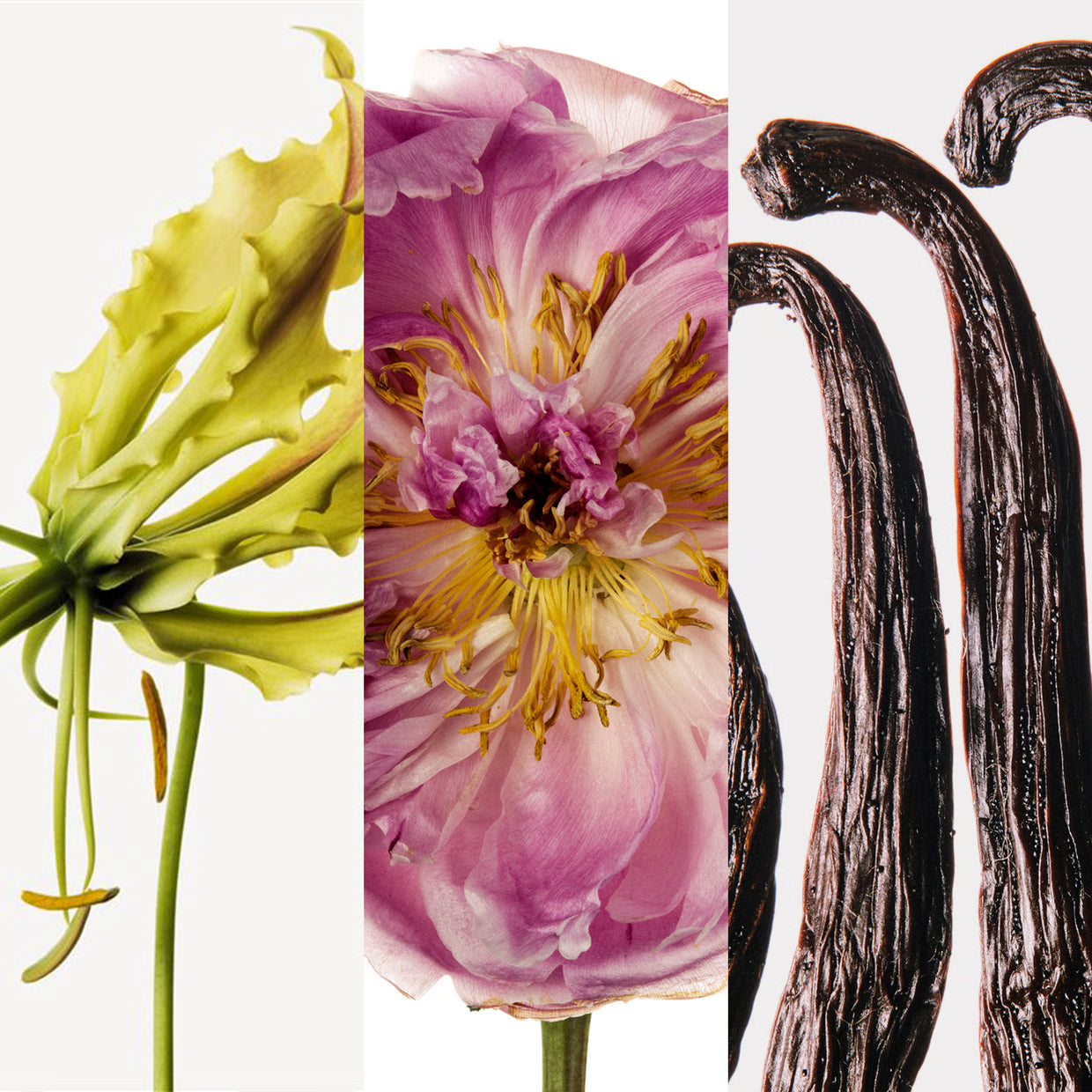 CH Good Girl Blush Tweed Talk