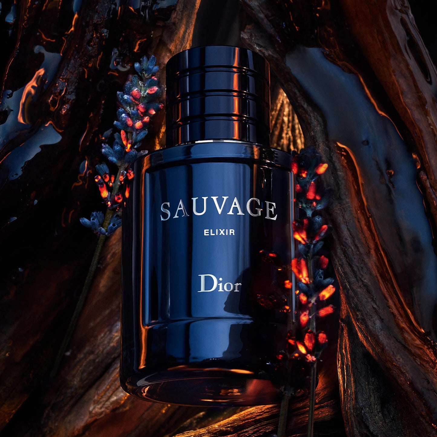 Dior Sauvage Elixir