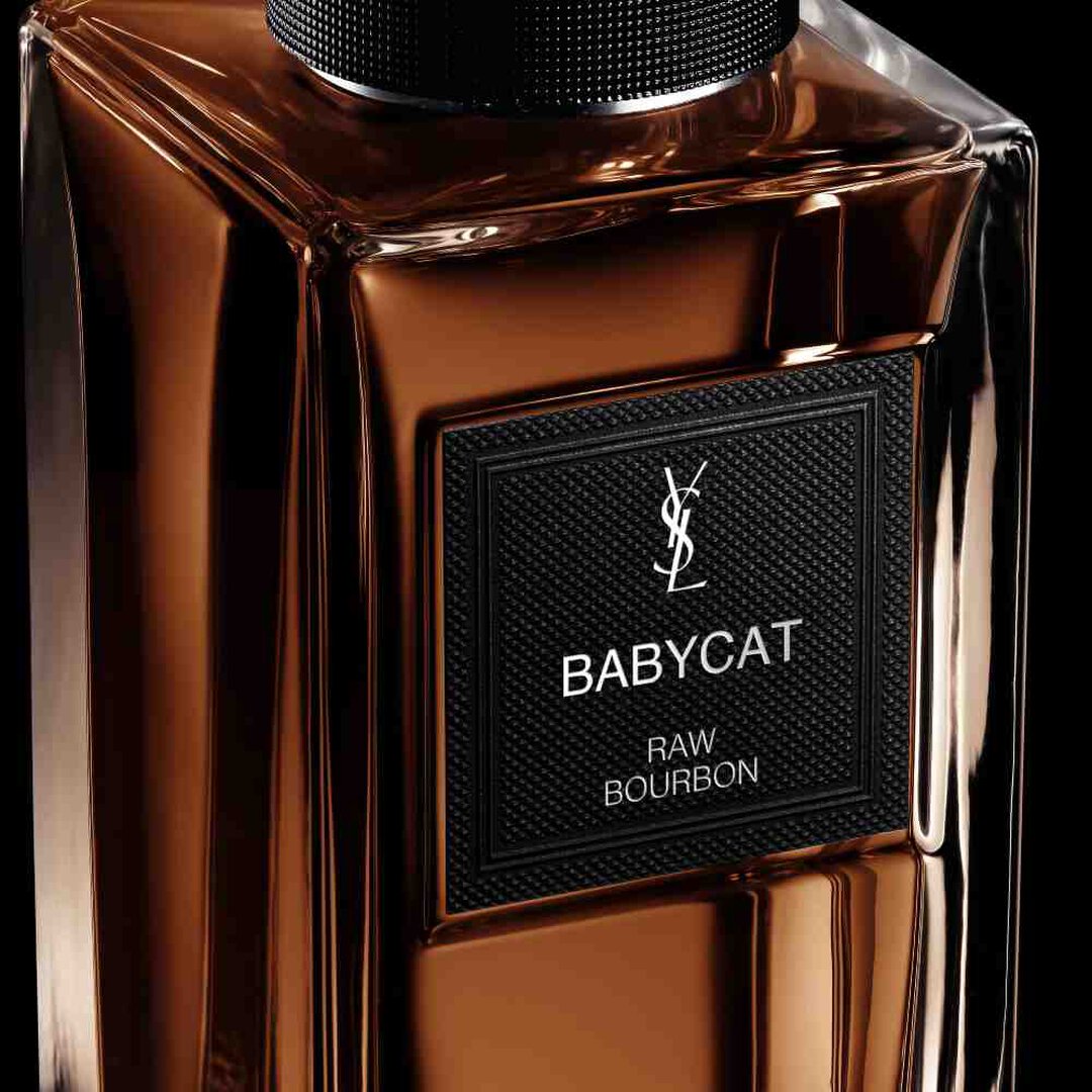 YSL Babycat (2025)