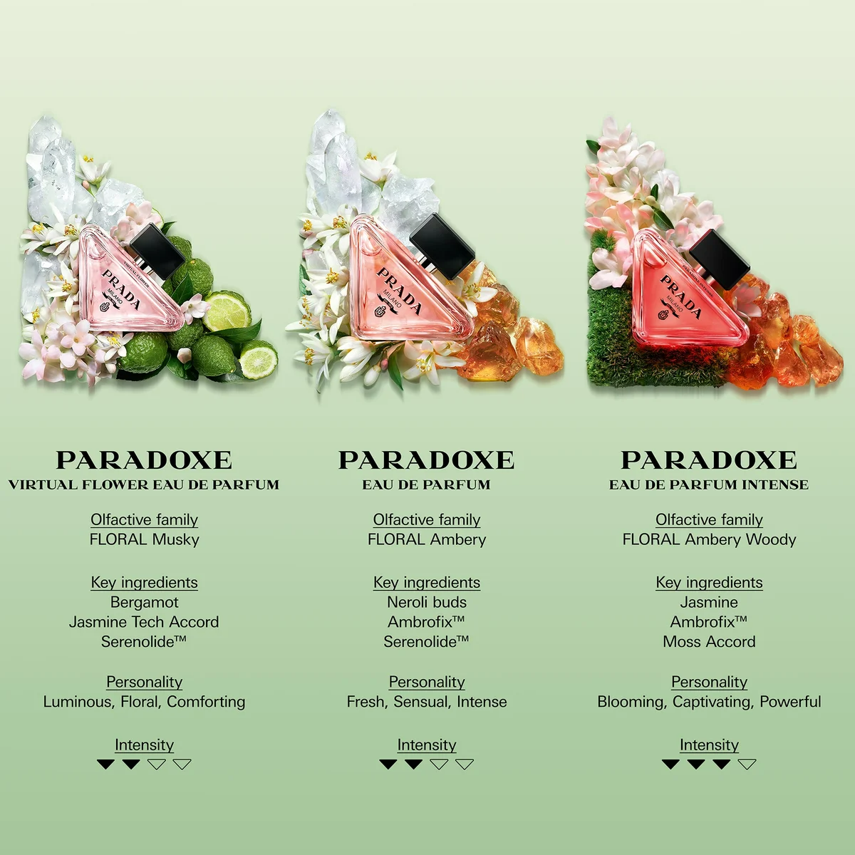 Prada Paradoxe