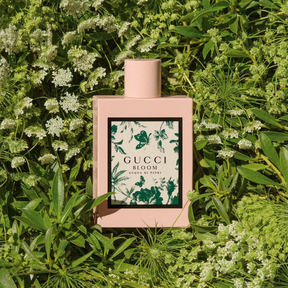 Gucci Bloom Acqua Di Fiori