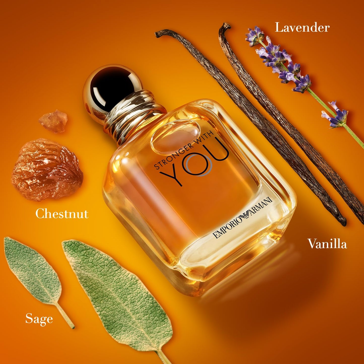 Stronger with You EDT