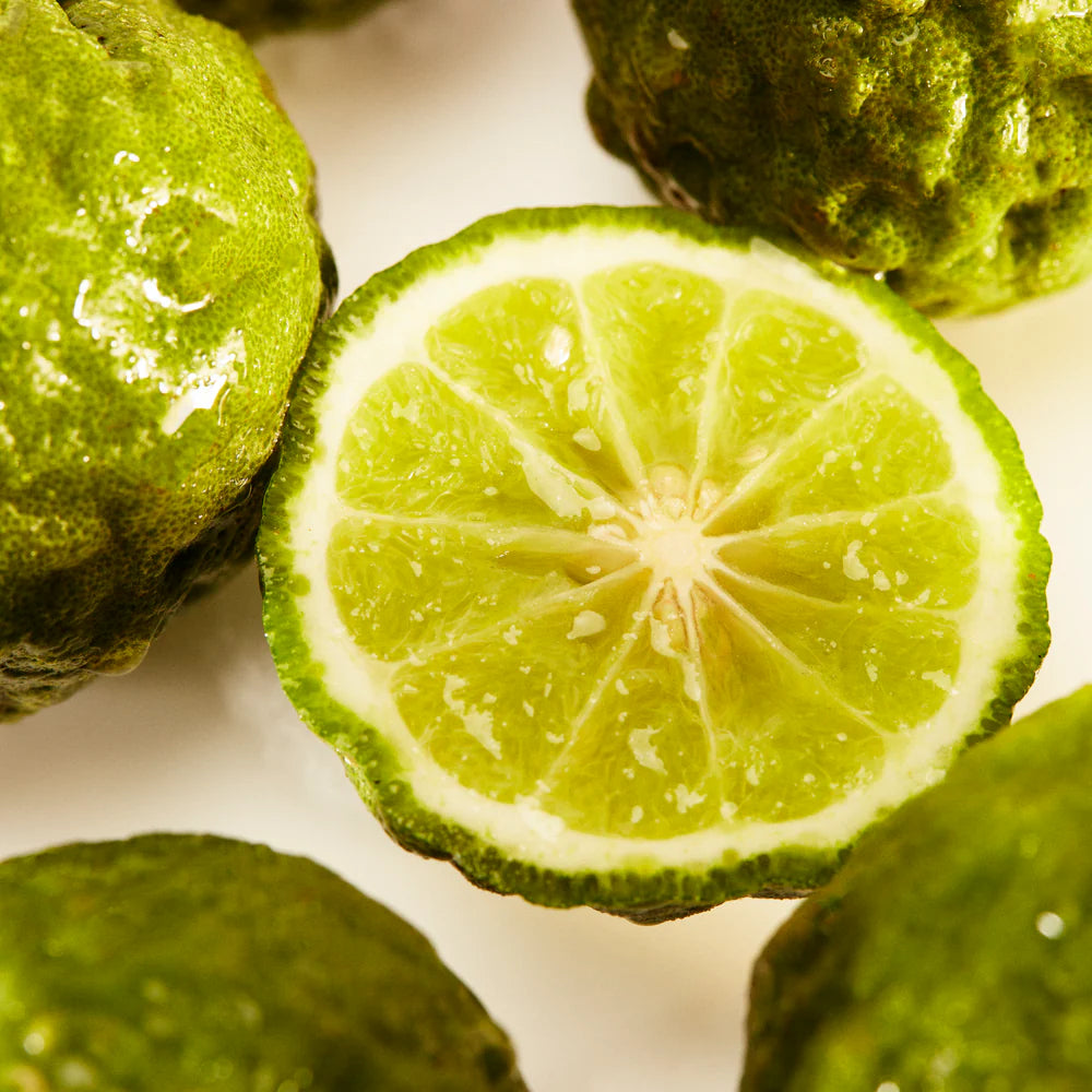 Kayali Maldives in a Bottle Ylang Coco 20