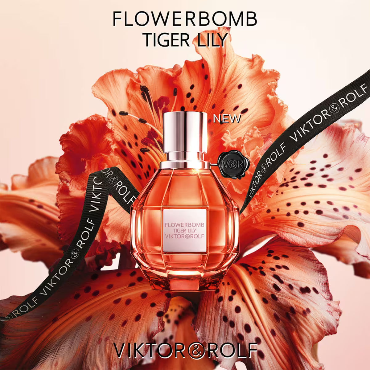 V&R Flowerbomb Tiger Lily