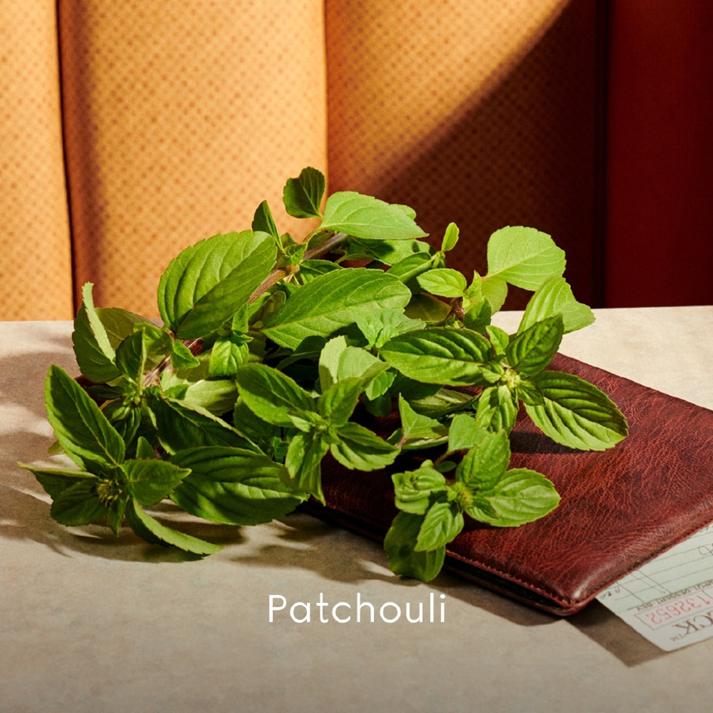 Gucci Guilty Intense Pour Femme