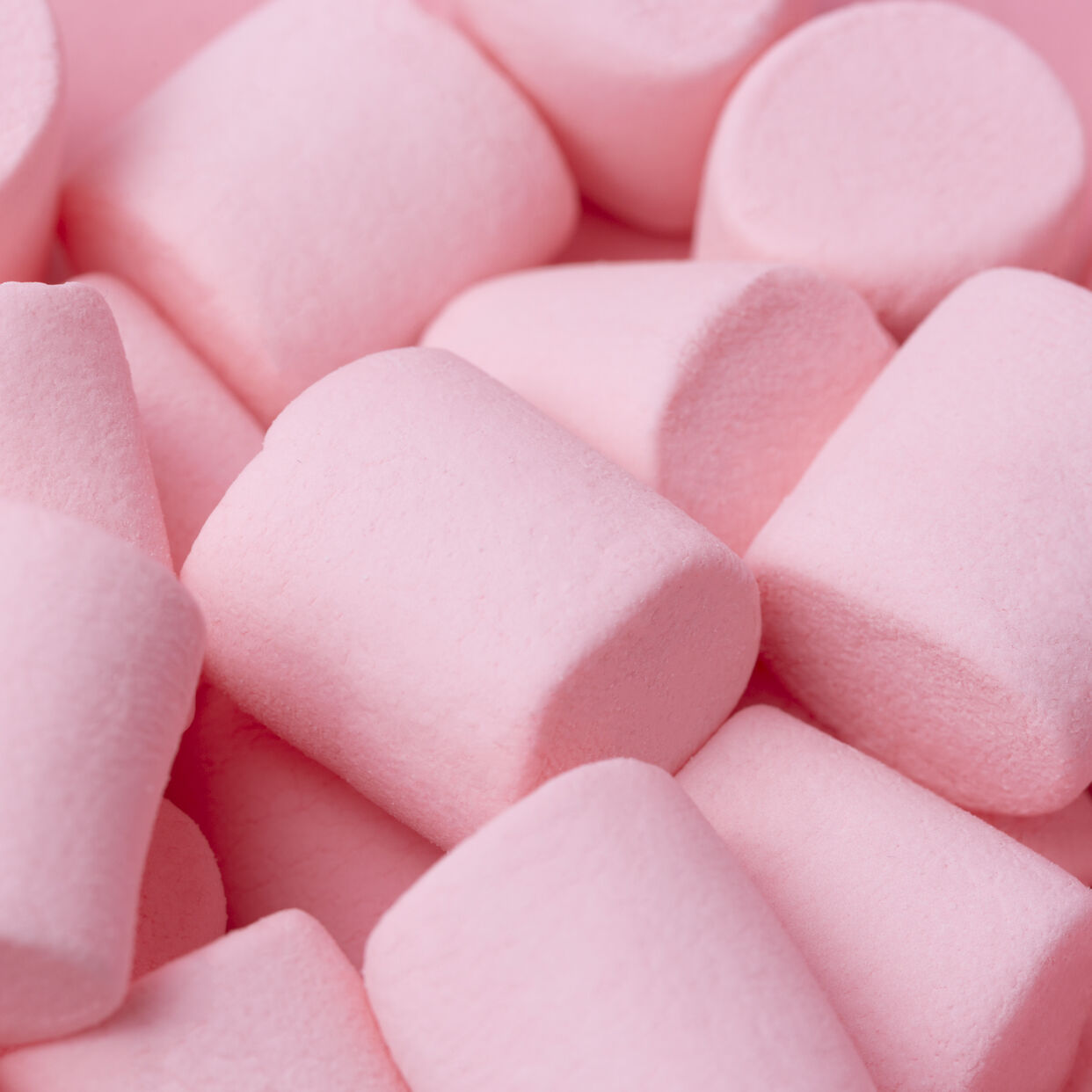 Kayali Yum Boujee Marshmallow 81