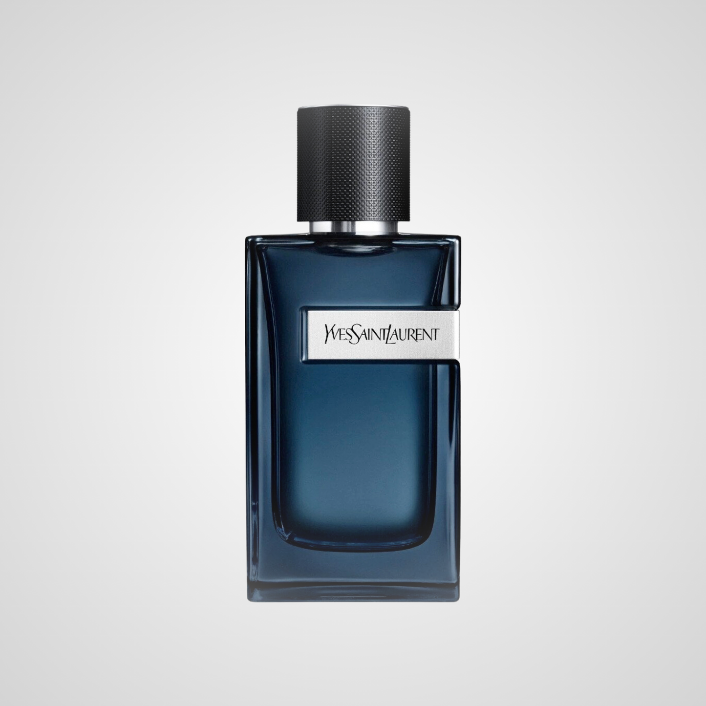 YSL Y Intense