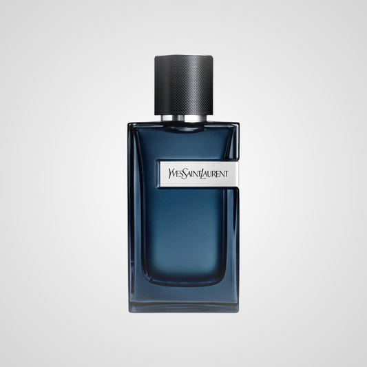 YSL Y Intense