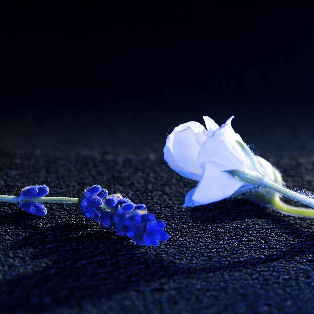 YSL La Nuit de L'Homme Bleu Electrique