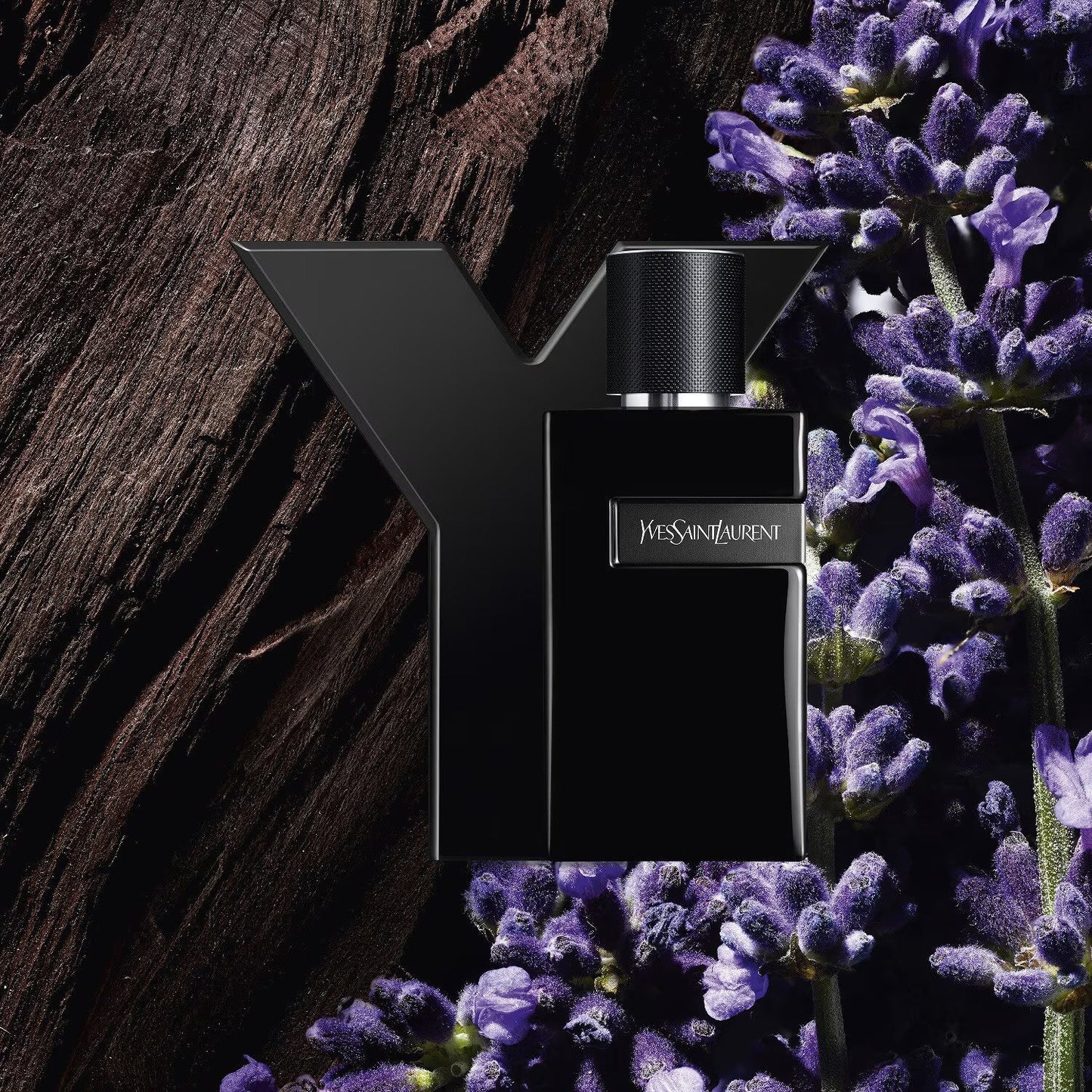 YSL Y Le Parfum