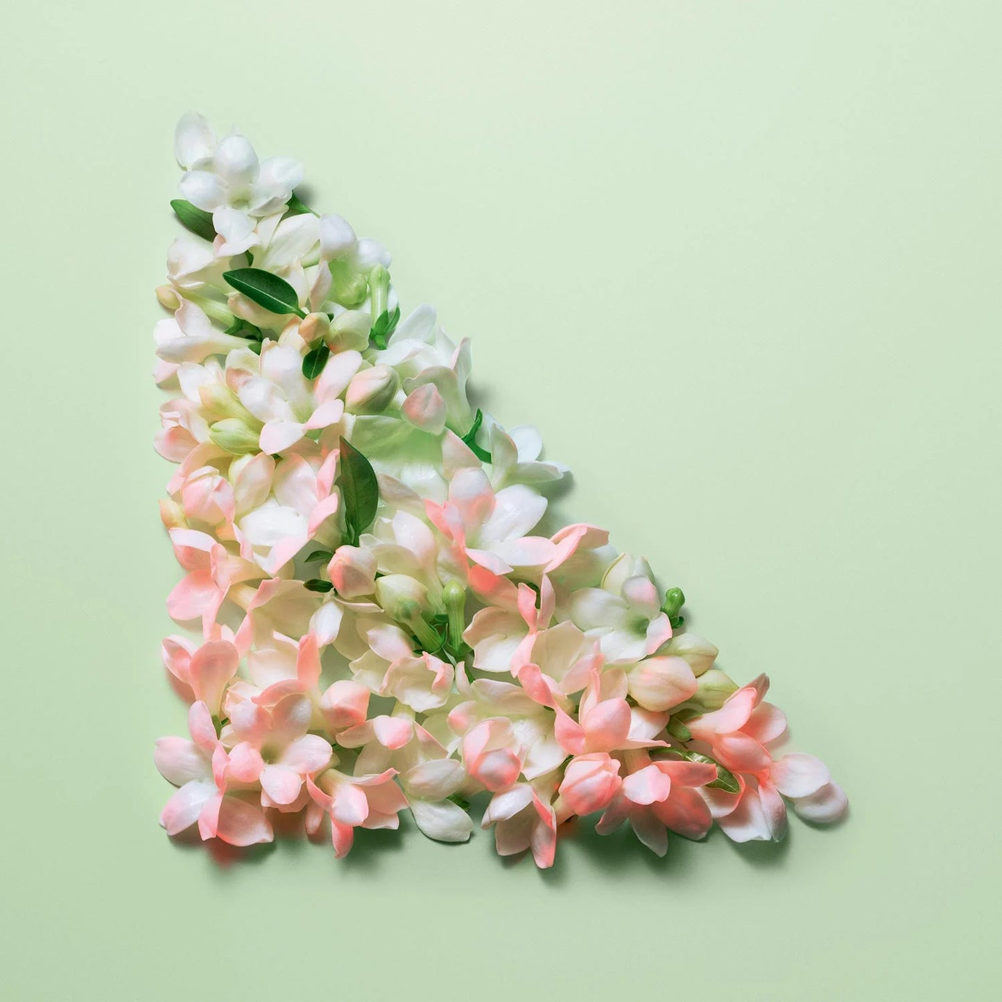 Prada Paradoxe Intense