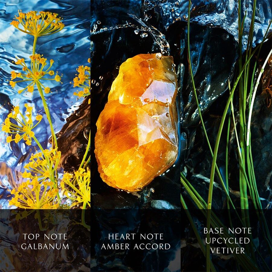 Davidoff Cool Water Reborn