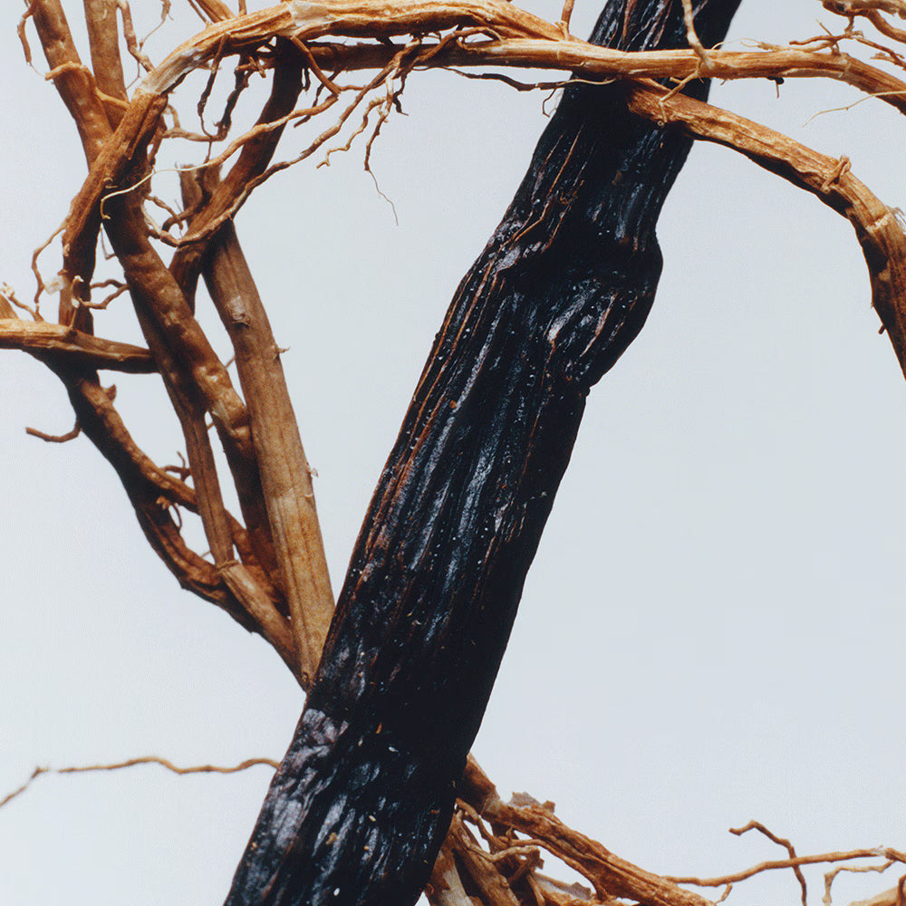 Jo Malone Vetiver & Golden Vanilla