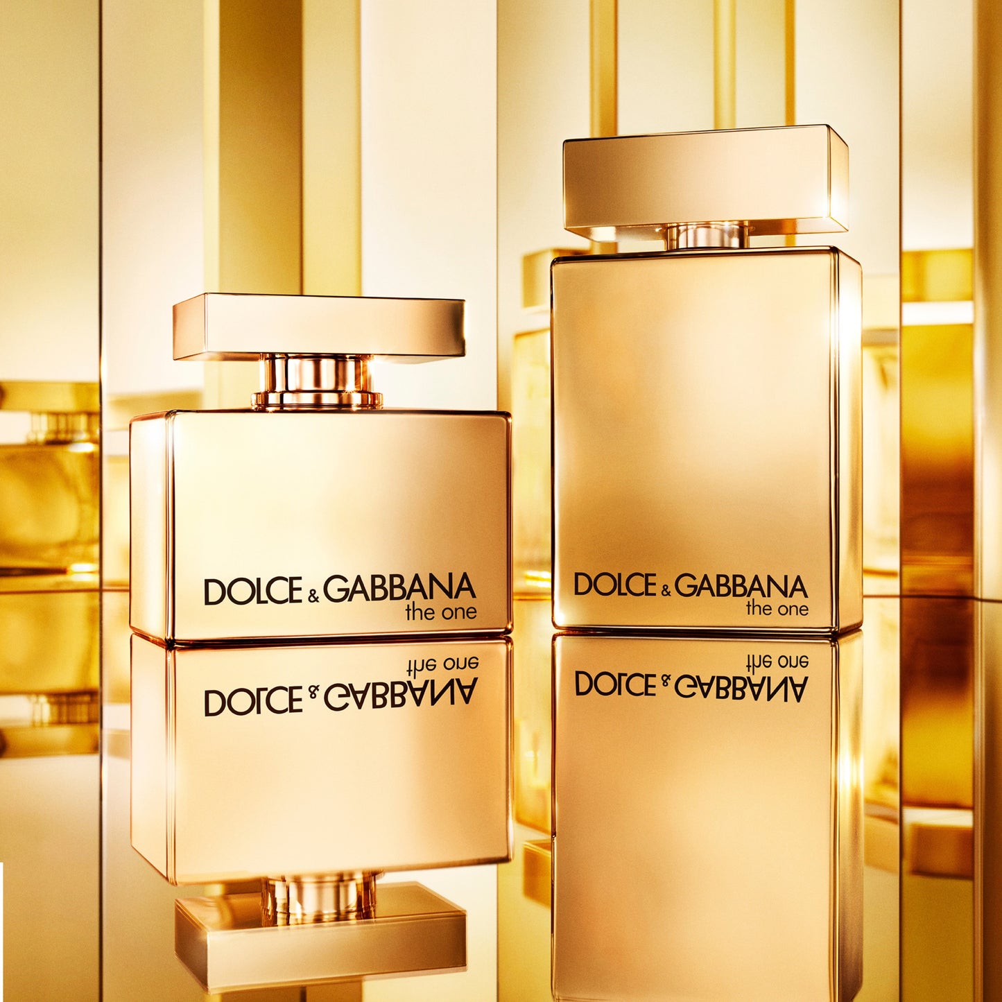 D&G The One Gold