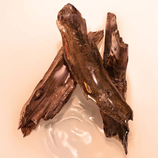 Maison Margiela Replica By the Fireplace