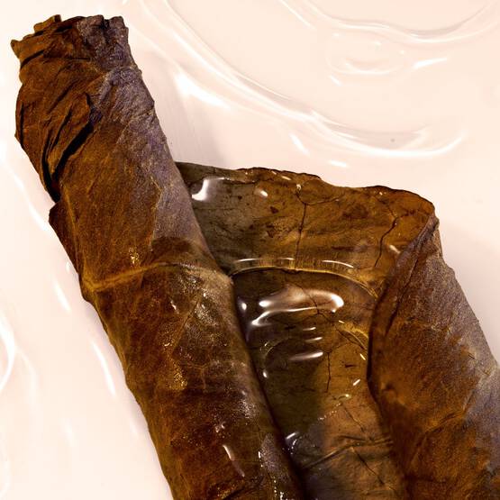 Maison Margiela Replica Jazz Club