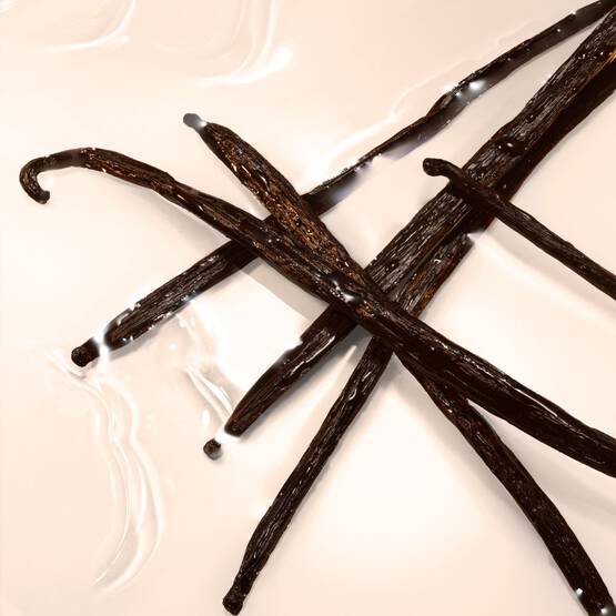 Maison Margiela Replica Jazz Club