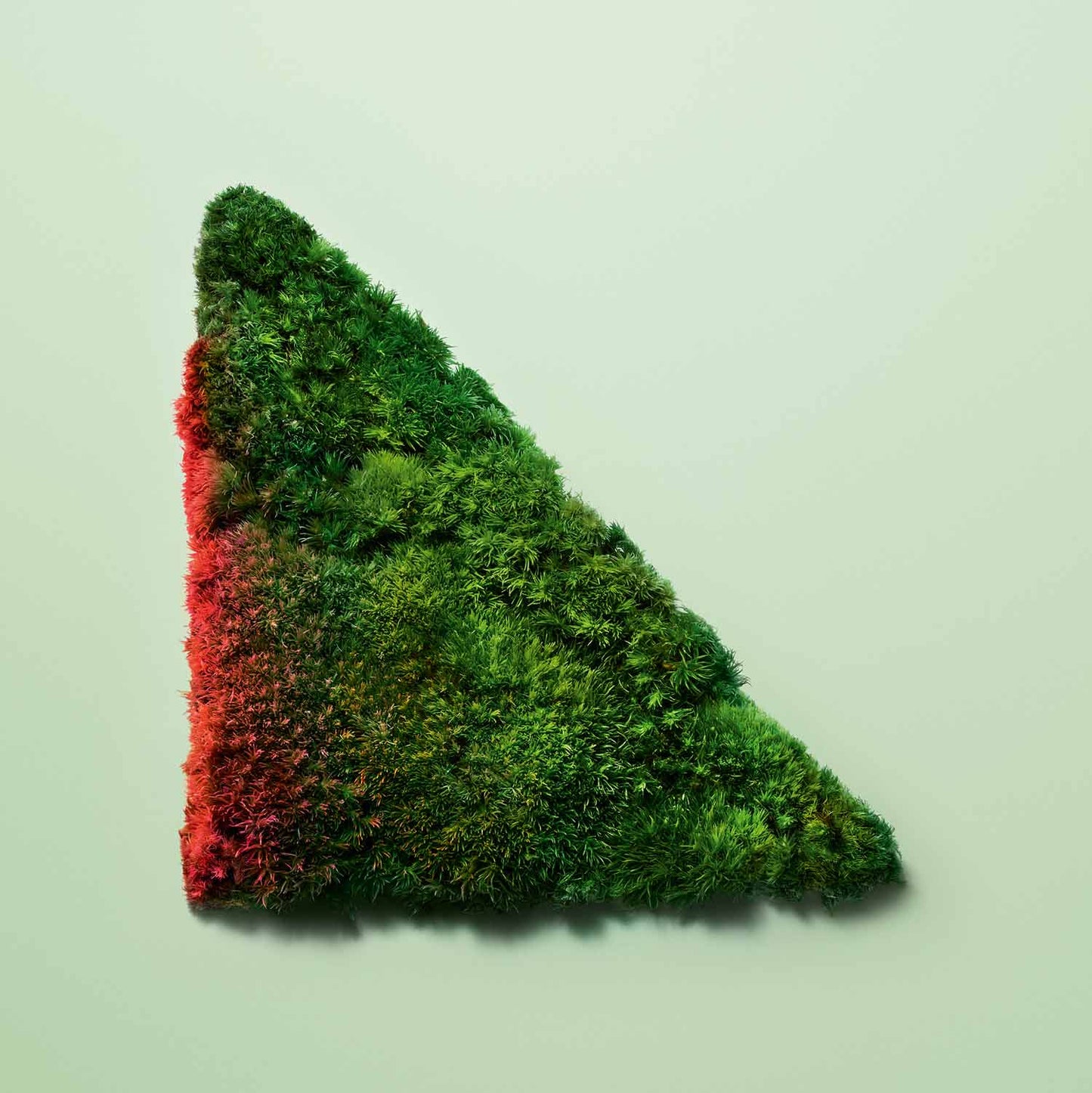 Prada Paradoxe Intense