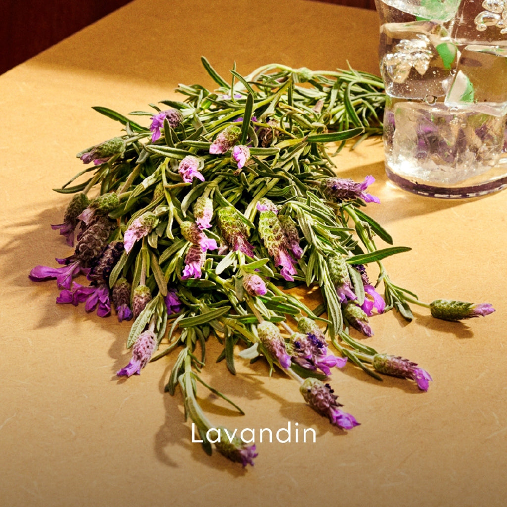 Gucci Guilty Parfum Pour Homme